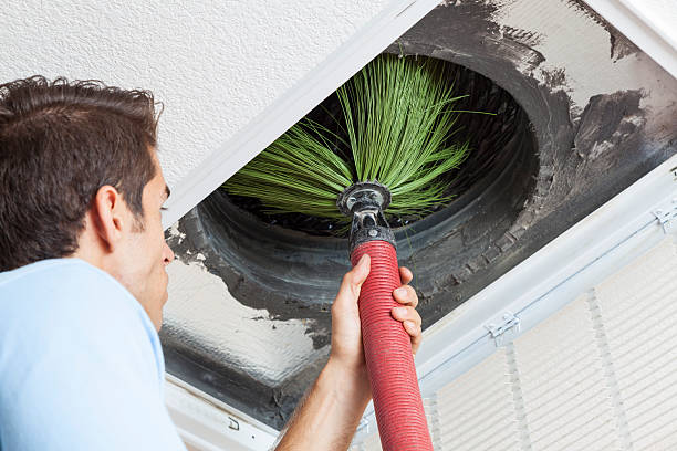 Best Home Air Vent Cleaning  in Elfers, FL